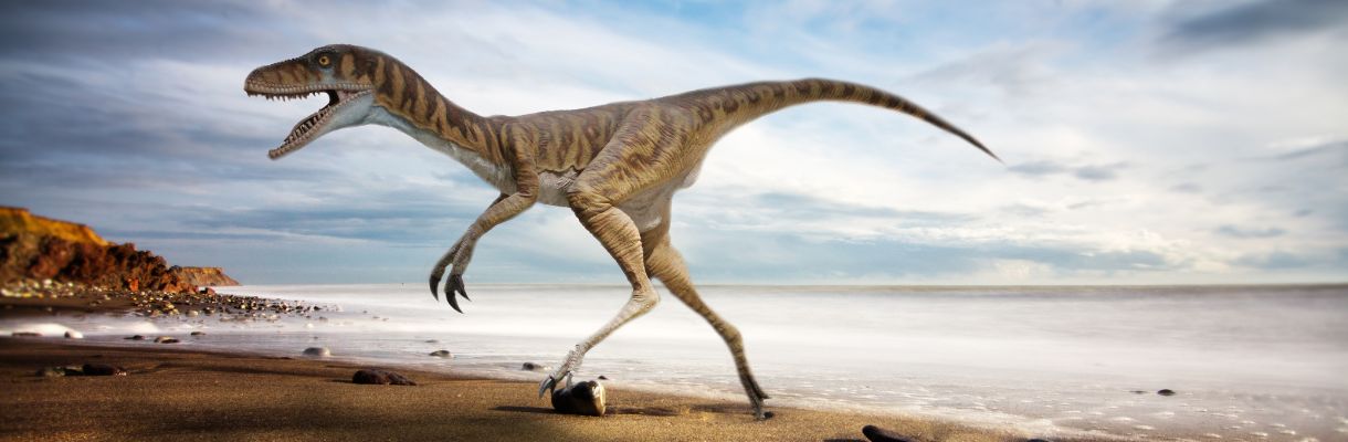 Dinosaur Heritage on the Isle of Wight